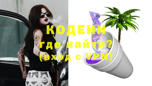 дживик Новозыбков