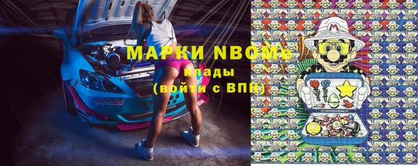 дживик Новодвинск