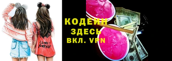 дживик Новозыбков
