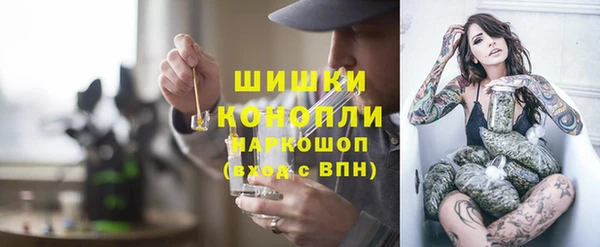 дживик Новодвинск