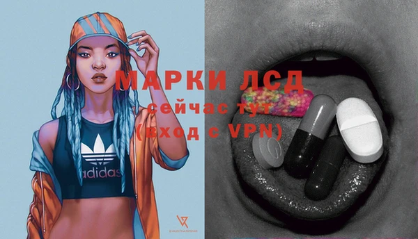 дживик Новозыбков