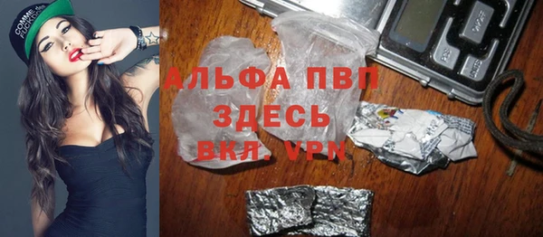 дживик Новозыбков