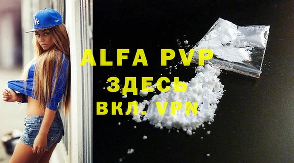 дживик Новозыбков
