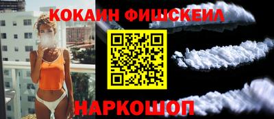 индика Гусев