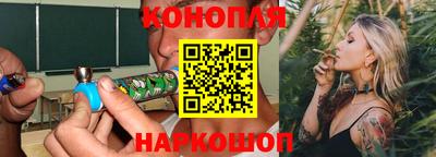 индика Гусев
