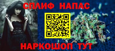 индика Гусев
