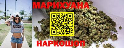индика Гусев