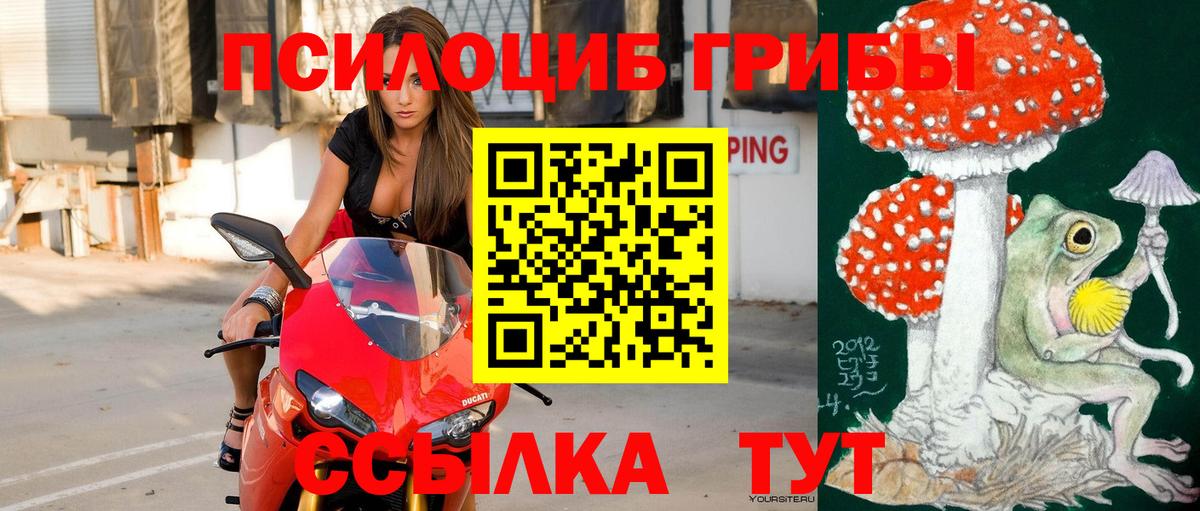Псилоцибиновые грибы GOLDEN TEACHER Сафоново