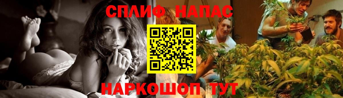 Бошки Шишки сатива  Бошки Шишки ГИДРОПОН  Вход с VPN  Сафоново 